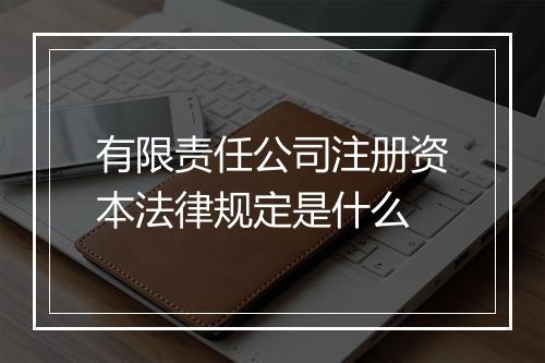 有限责任公司注册资本法律规定是什么