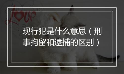 现行犯是什么意思（刑事拘留和逮捕的区别）