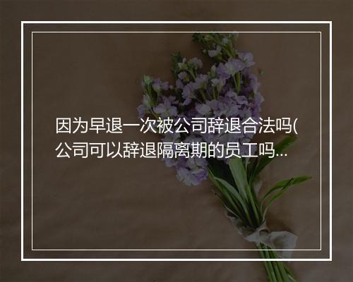 因为早退一次被公司辞退合法吗(公司可以辞退隔离期的员工吗)