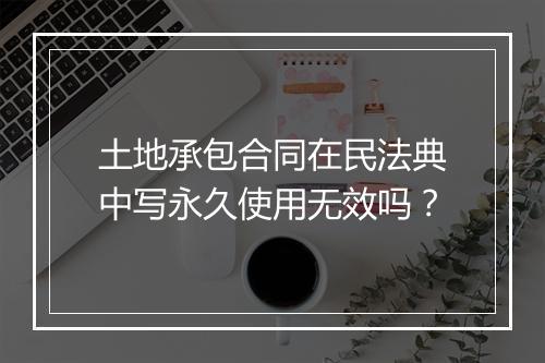 土地承包合同在民法典中写永久使用无效吗？