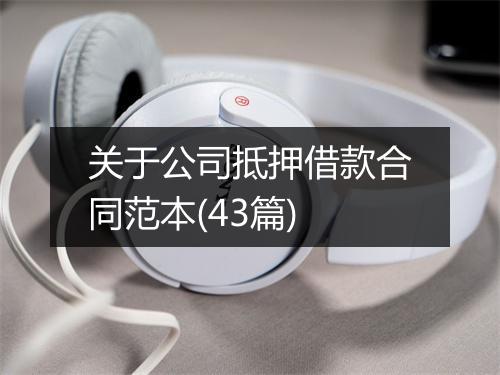 关于公司抵押借款合同范本(43篇)