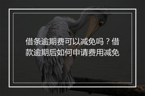 借条逾期费可以减免吗？借款逾期后如何申请费用减免