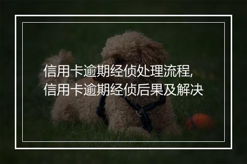 信用卡逾期经侦处理流程,信用卡逾期经侦后果及解决