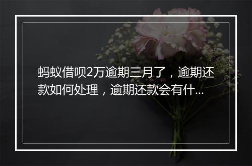 蚂蚁借呗2万逾期三月了，逾期还款如何处理，逾期还款会有什么后果