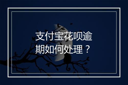 支付宝花呗逾期如何处理？