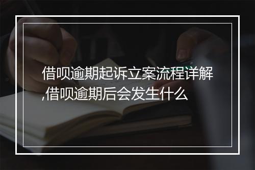 借呗逾期起诉立案流程详解,借呗逾期后会发生什么