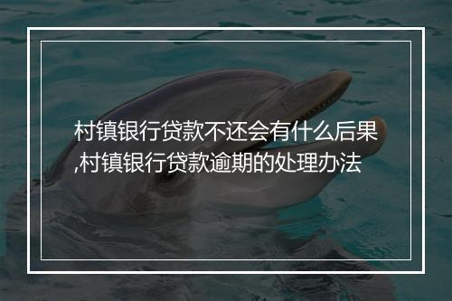 村镇银行贷款不还会有什么后果,村镇银行贷款逾期的处理办法