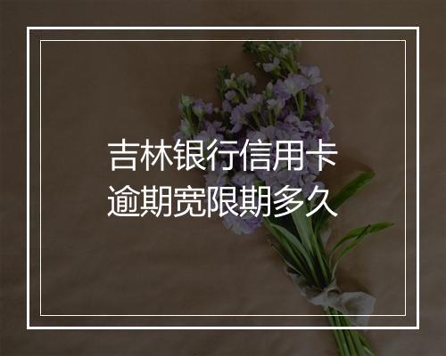 吉林银行信用卡逾期宽限期多久