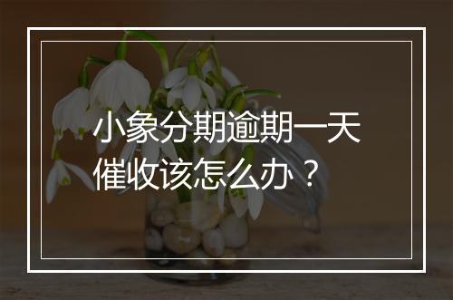 小象分期逾期一天催收该怎么办？