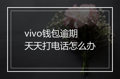 vivo钱包逾期天天打电话怎么办