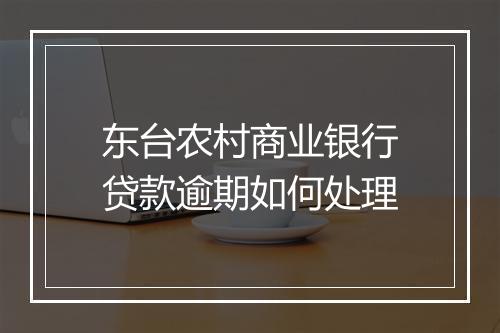 东台农村商业银行贷款逾期如何处理