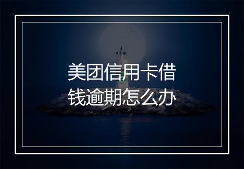 美团信用卡借钱逾期怎么办