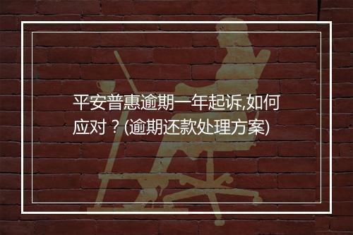 平安普惠逾期一年起诉,如何应对？(逾期还款处理方案)