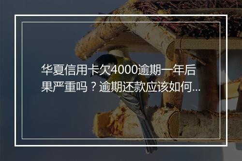 华夏信用卡欠4000逾期一年后果严重吗？逾期还款应该如何处理？