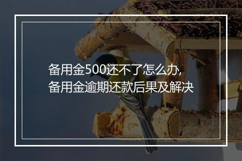 备用金500还不了怎么办,备用金逾期还款后果及解决