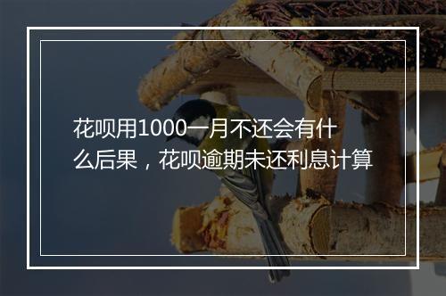 花呗用1000一月不还会有什么后果，花呗逾期未还利息计算