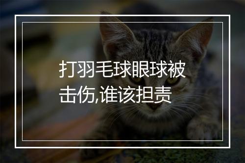 打羽毛球眼球被击伤,谁该担责