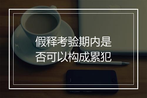 假释考验期内是否可以构成累犯