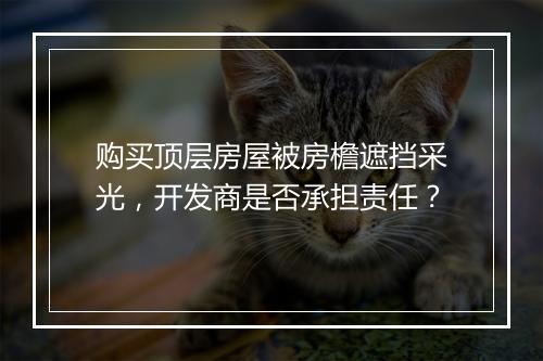购买顶层房屋被房檐遮挡采光，开发商是否承担责任？