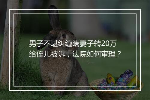 男子不堪纠缠瞒妻子转20万给侄儿被诉，法院如何审理？