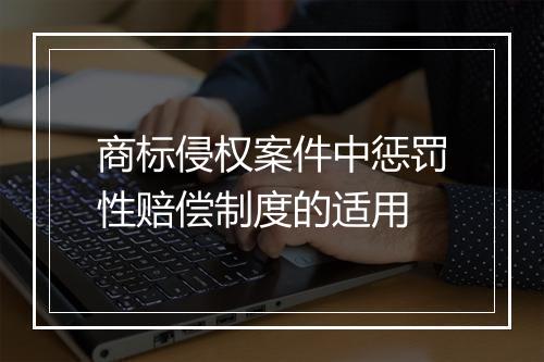 商标侵权案件中惩罚性赔偿制度的适用