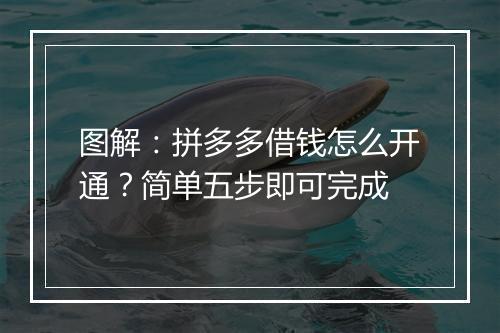 图解：拼多多借钱怎么开通？简单五步即可完成