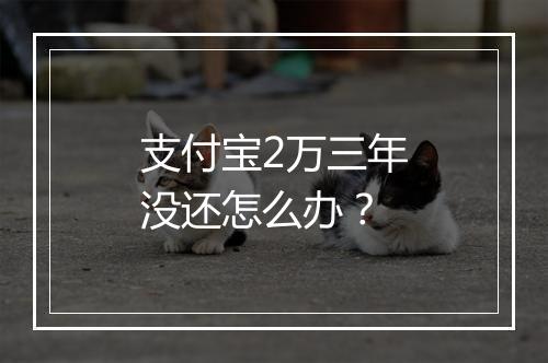 支付宝2万三年没还怎么办？