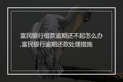 富民银行借款逾期还不起怎么办,富民银行逾期还款处理措施