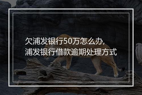 欠浦发银行50万怎么办,浦发银行借款逾期处理方式