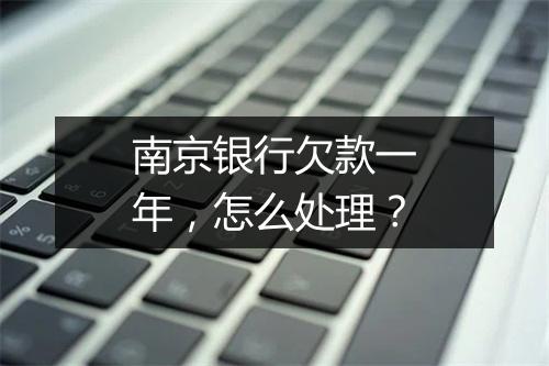 南京银行欠款一年，怎么处理？