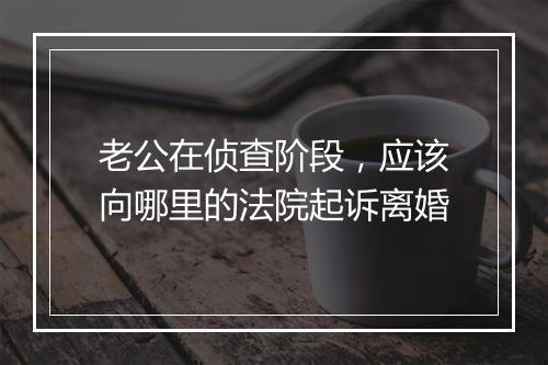 老公在侦查阶段，应该向哪里的法院起诉离婚