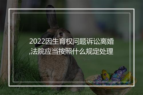 2022因生育权问题诉讼离婚,法院应当按照什么规定处理
