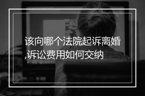 该向哪个法院起诉离婚,诉讼费用如何交纳