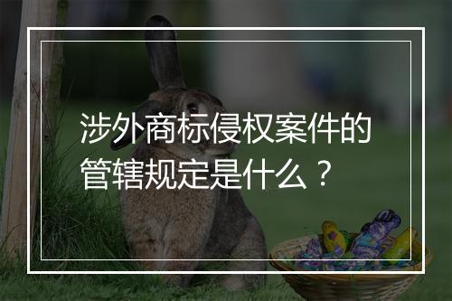 涉外商标侵权案件的管辖规定是什么？