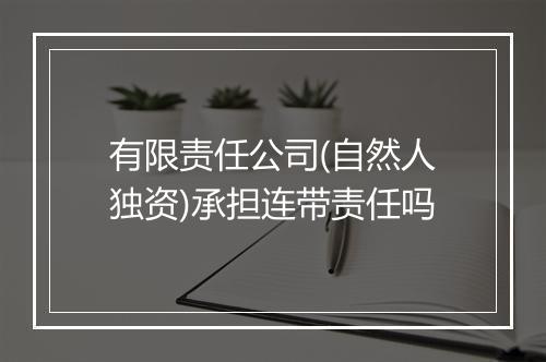 有限责任公司(自然人独资)承担连带责任吗