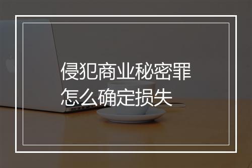 侵犯商业秘密罪怎么确定损失