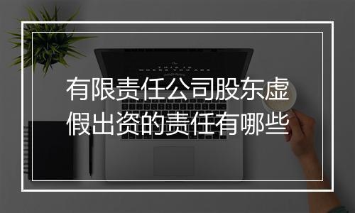 有限责任公司股东虚假出资的责任有哪些