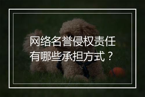 网络名誉侵权责任有哪些承担方式？