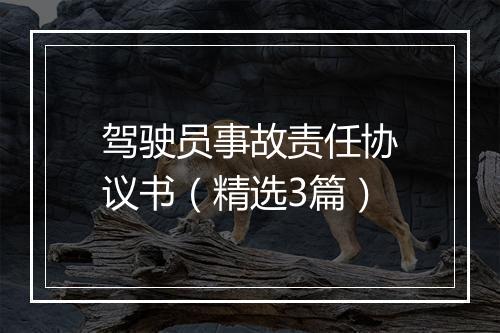 驾驶员事故责任协议书（精选3篇）