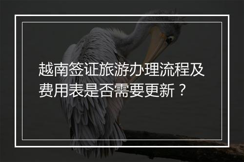 越南签证旅游办理流程及费用表是否需要更新？