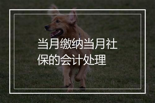 当月缴纳当月社保的会计处理