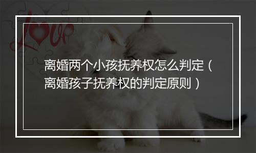 离婚两个小孩抚养权怎么判定（离婚孩子抚养权的判定原则）