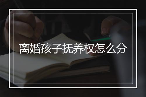 离婚孩子抚养权怎么分