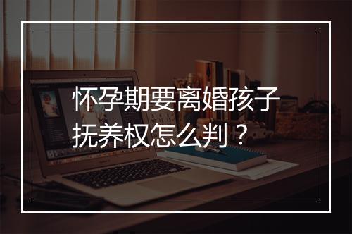 怀孕期要离婚孩子抚养权怎么判？