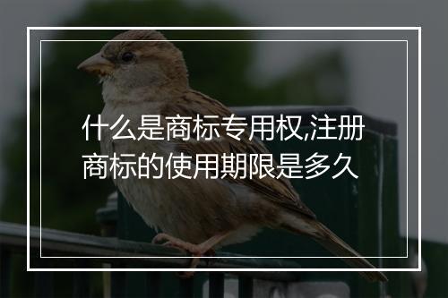 什么是商标专用权,注册商标的使用期限是多久