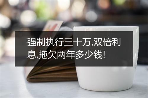 强制执行三十万,双倍利息,拖欠两年多少钱!