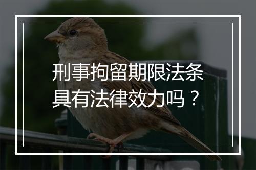 刑事拘留期限法条具有法律效力吗？