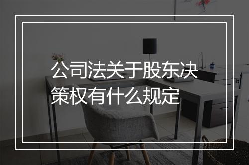 公司法关于股东决策权有什么规定