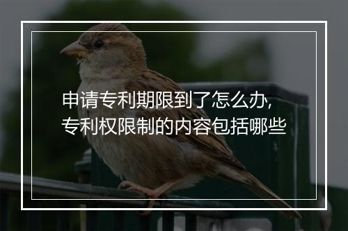 申请专利期限到了怎么办,专利权限制的内容包括哪些