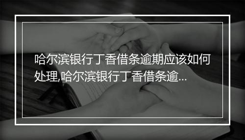 哈尔滨银行丁香借条逾期应该如何处理,哈尔滨银行丁香借条逾期罚息计算